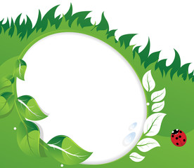 Green leaves and ladybug.
