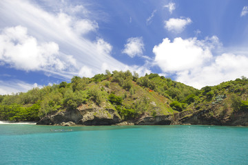 Fototapeta premium 小笠原 父島の海