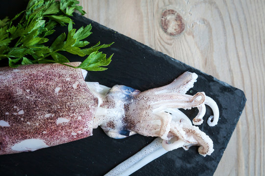 Squid with parsley