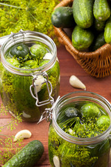 Homemade pickles in brine with garlic, dill and horseradish