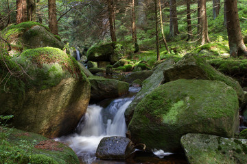 Schluftwasser im Harz