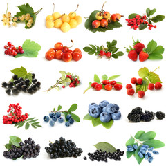 Collection of ripe berries