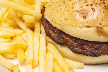 juicy burger served on a plate with fries