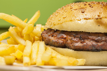 juicy burger served on a plate with fries