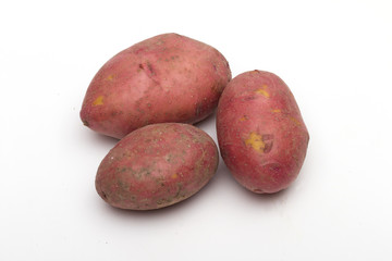 Fototapeta premium potatoes on the white background