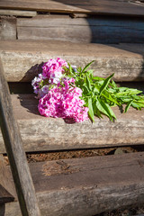 Flowers on the doorsteps