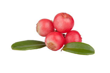 cowberry berries with leaves isolated on white background