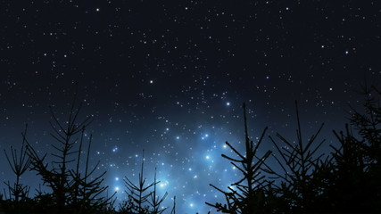 Pleiades rising over the forest