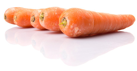 Carrot over white background