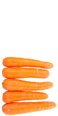 Carrot over white background