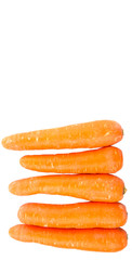 Carrot over white background
