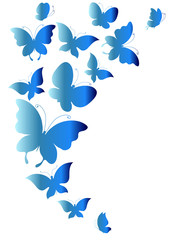 butterflies design