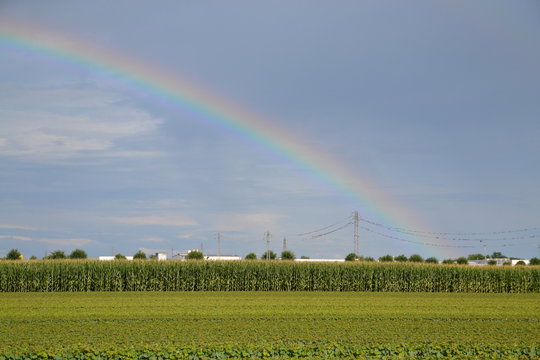 arcobaleno