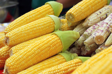 Sweet corn in the market