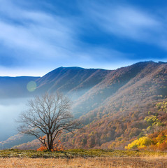 Fototapeta premium Autumn in mountains