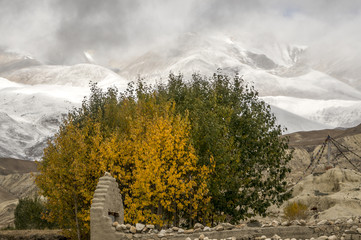Autumn and winter in the Himalayas, Mustang