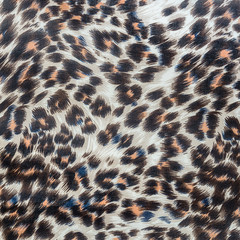 texture of fabric stripes leopard - 69385597