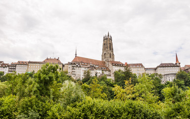 Fototapeta na wymiar Fribourg, Freiburg, Altstadt, historisches Münster, Schweiz