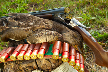 Gun, duck and hunting ammunition