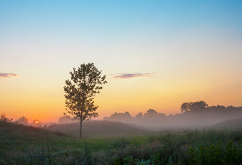 Fototapeta na wymiar Colorful dawn with mist