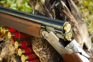 Fotobehang Gun, duck and hunting ammunition © denisk999