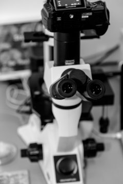 Microscope with laboratory background