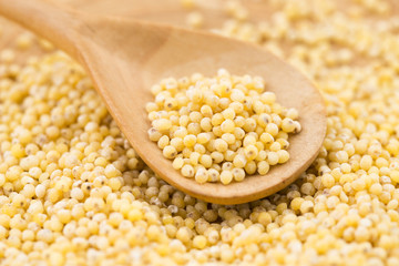 millet groats