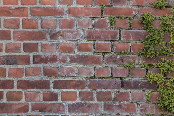 wall