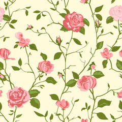 Shabby Chic Rose Pattern and seamless background.