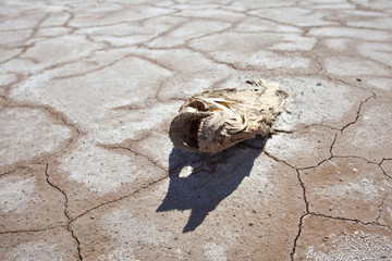 California Drought