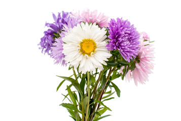 Fototapeta premium a bouquet of asters