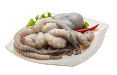 Raw octopus