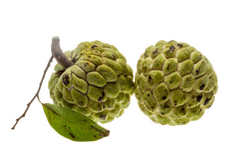 Fototapeta premium Noni fruit