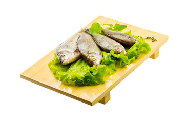 Crucian fish