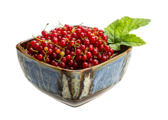 Red currant