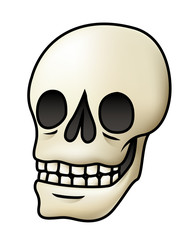 Skull