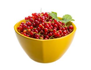 Red currant