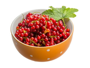 Red currant