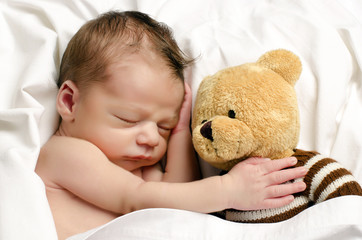 Beautiful innocent newborn sleeping holding a bear toy