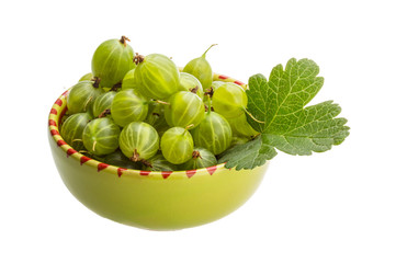 Gooseberry