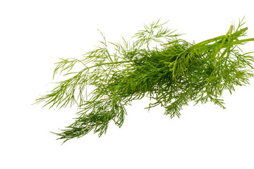 Dill branch