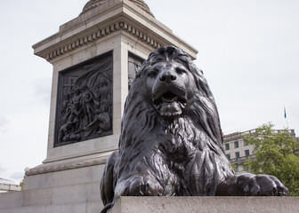 Lion Statue, Trafalgar Square