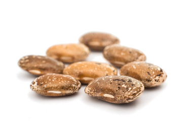 Beans isolated
