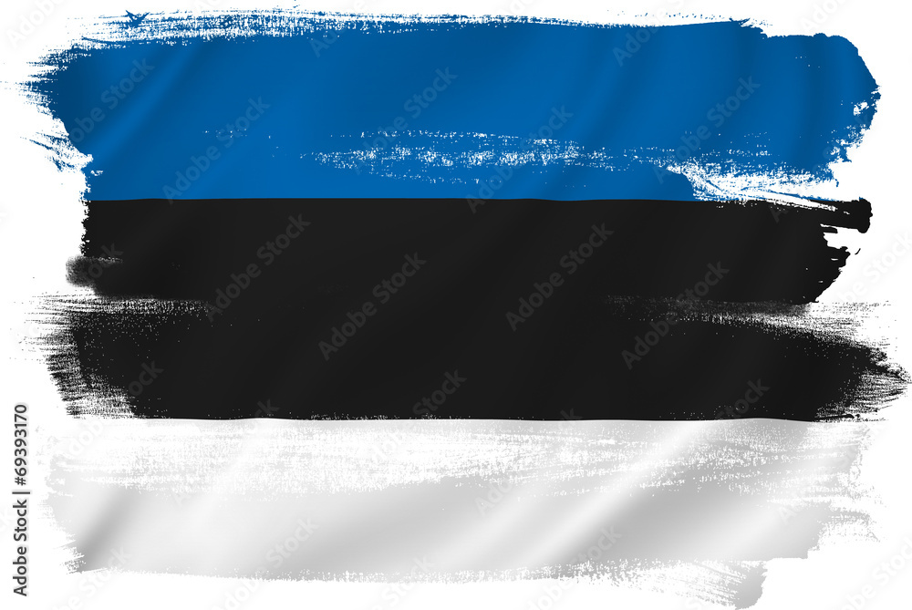 Wall mural Estonia flag