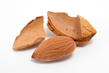 Almond isolated on white