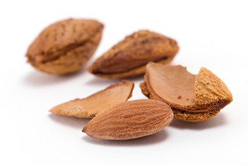 Almond isolated on white