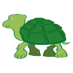 a green turtle on a white background