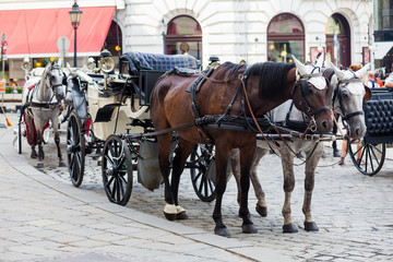 Naklejka na ściany i meble Traditional horse-driven carriage