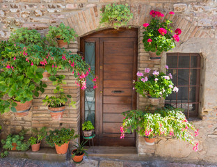 Fototapeta na wymiar Elegante porta di legno con fiori