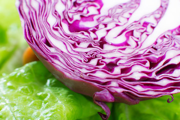 Obraz premium sliced ​​cabbage closeup